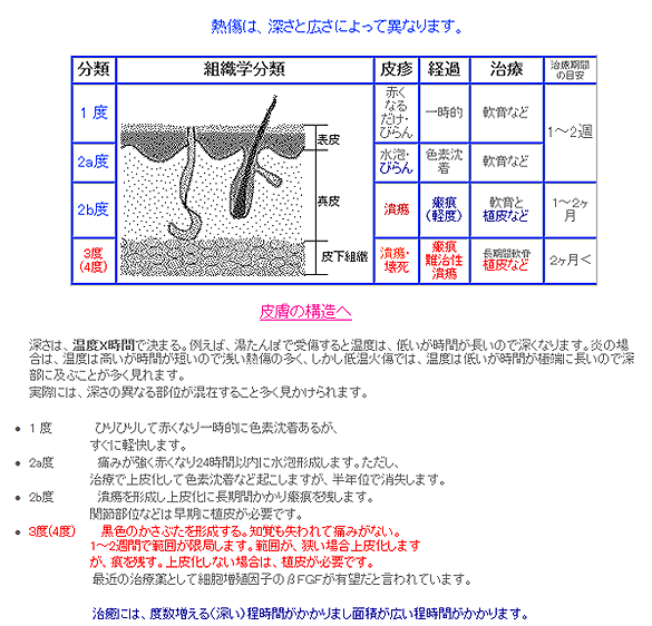 【参考】熱傷（火傷）やけど