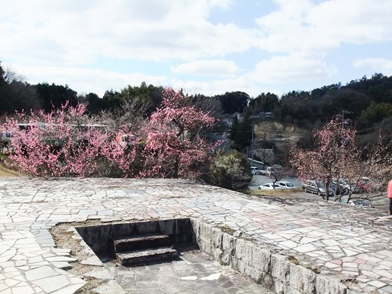 月ヶ瀬梅林公園