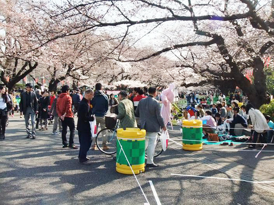 東京の桜