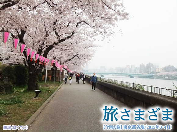 墨堤（ぼくてい）